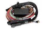 Haltech - Elite 2500 + Premium Universal Wire-in Harness Kit - Underwoodsmotorsport