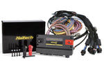 Haltech NEXUS R5 + Universal Wire-in Harness Kit - Underwoodsmotorsport